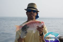 Yelloweye-Snapper