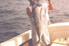 African-Pompano-1