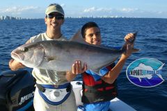 Amberjack-4