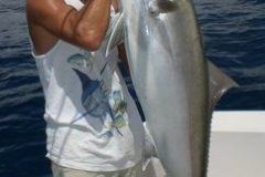 Amberjack-6