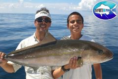 Amberjack