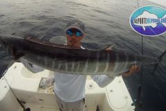 Big-Wahoo