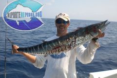 Wahoo-4