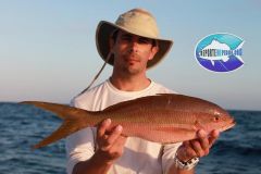 Flag-Yellowtail