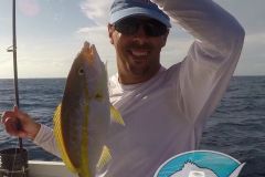 Yellowtail-Snapper-2