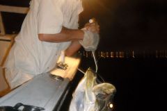Tarpon-14