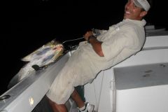 Tarpon-16