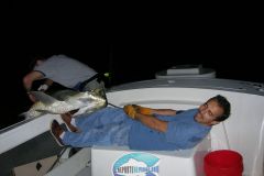 Tarpon-17