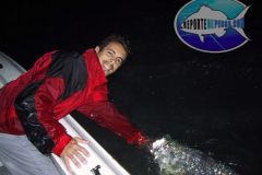 Tarpon-18