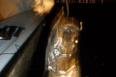 Tarpon-20