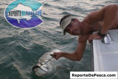 Tarpon-22