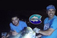Tarpon-4