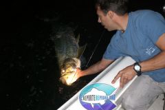 Tarpon-9