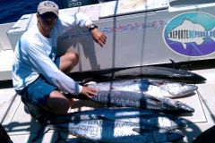 Kingfish-3