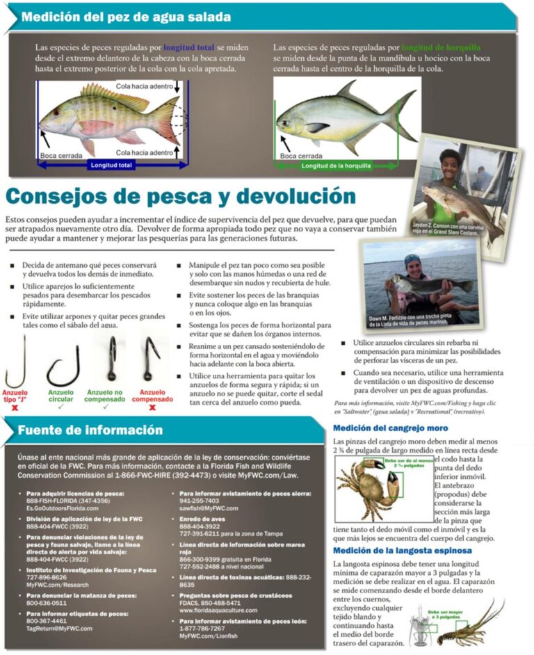 Manera correcta de medir los pescados y crustaceos. - Reporte de Pesca