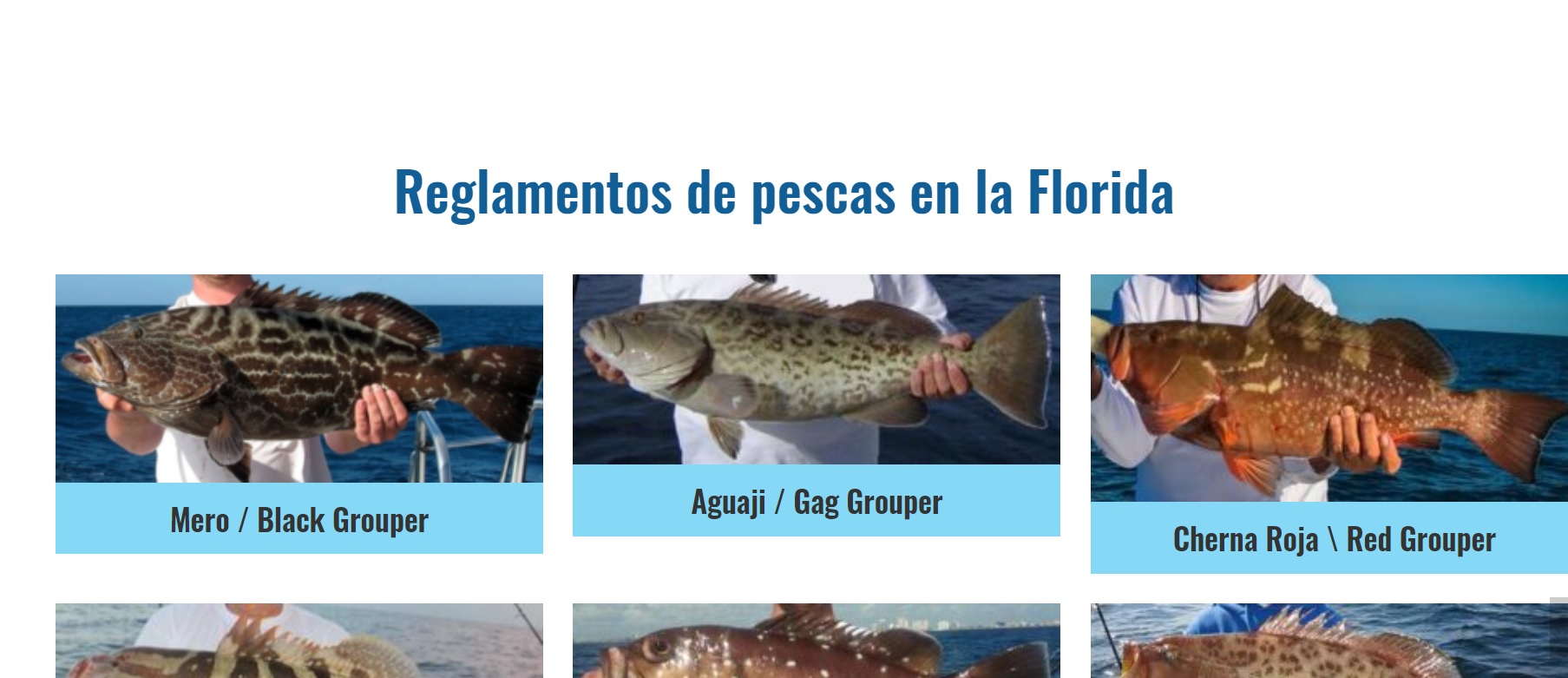 Regulaciones - Reporte de Pesca