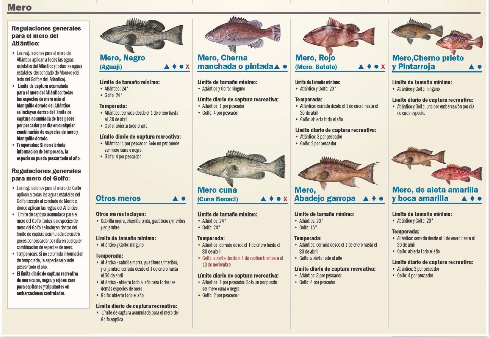 Regulaciones de pescas en la Florida mero cherna grouper