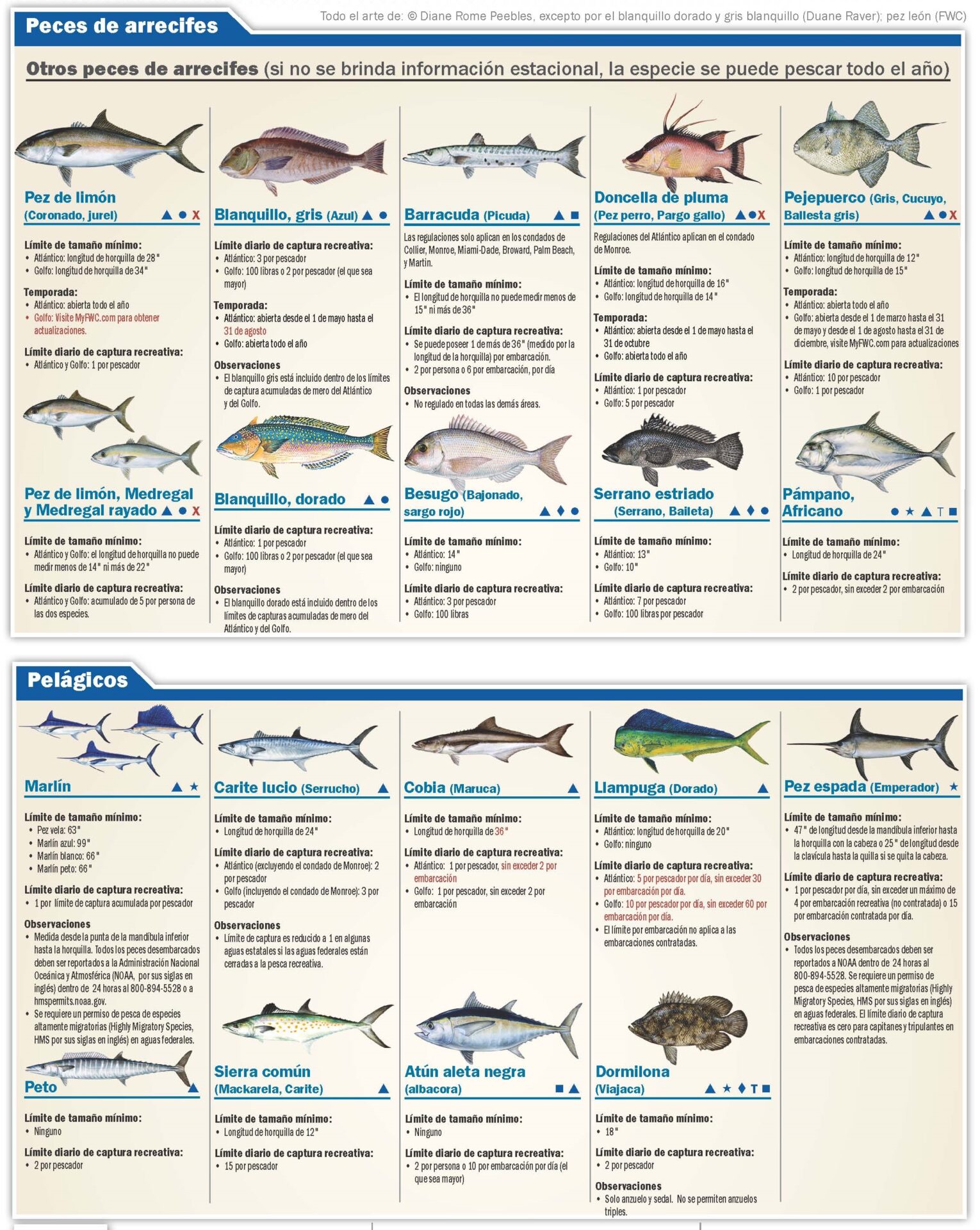 Regulaciones de pescas en la Florida2