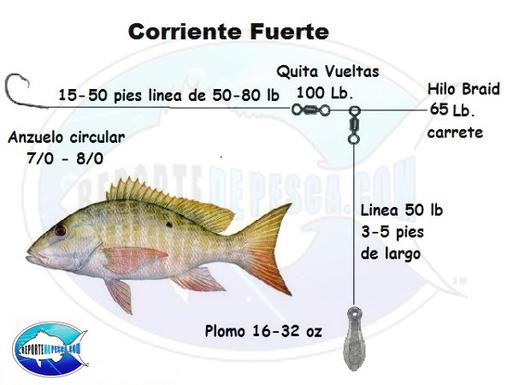 Tecnica Pargo Criollo - Reporte de Pesca