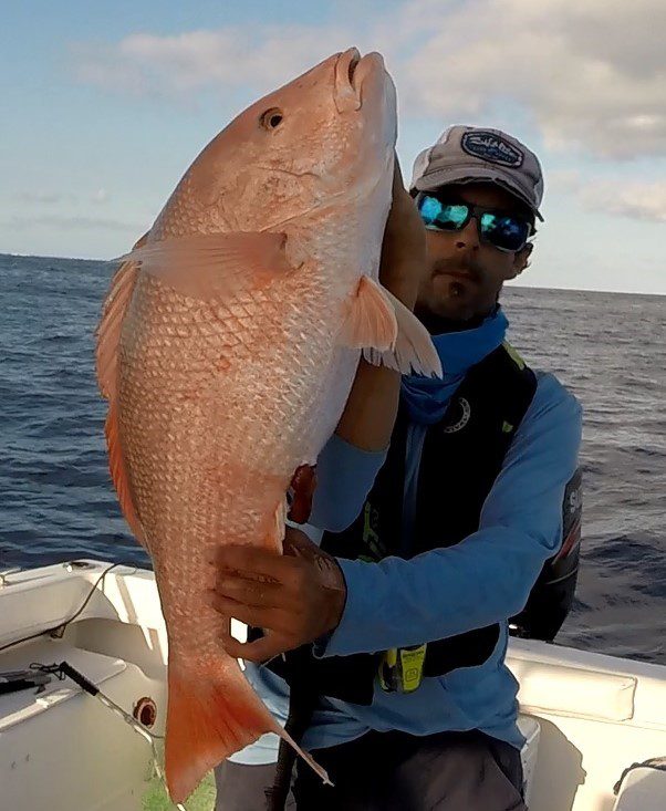 Red-Snapper1-1