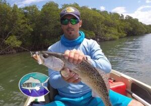 trucha de mar spotted sea trout season temporada cierre closure - Copy